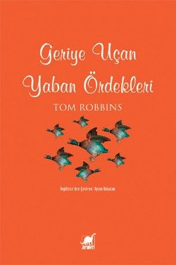 Geriye Uçan Yaban Ördekleri - Ayrıntı Yayınları Kitap