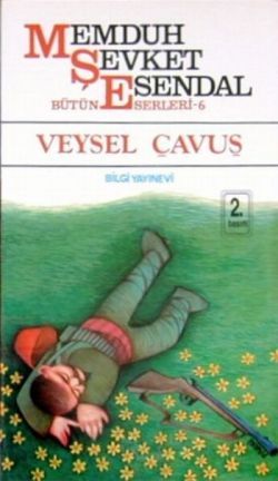 Veysel Çavuş - Bilgi Yayınevi Kitap