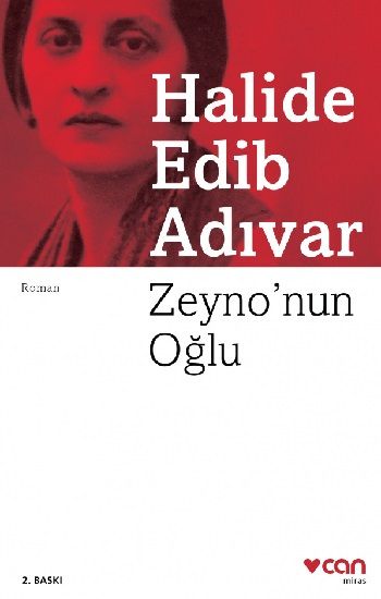 Zeyno’nun Oğlu - Halide Edib Adıvar, Roman Öykü Türkçe kitap kapağı