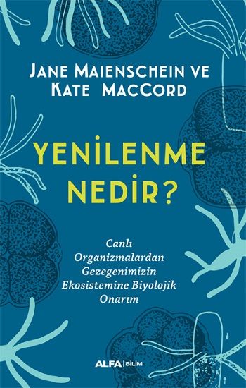 Yenilenme Nedir? - Alfa Yayınları Kitap