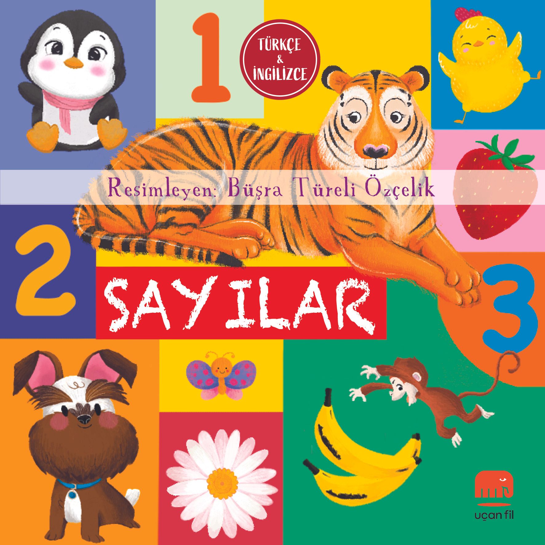 Sayılar (Board Book) - Uçan Fil Yayınları Kitap