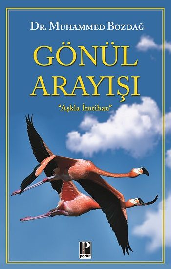 Gönül Arayışı - Pozitif Yayınları Kitap