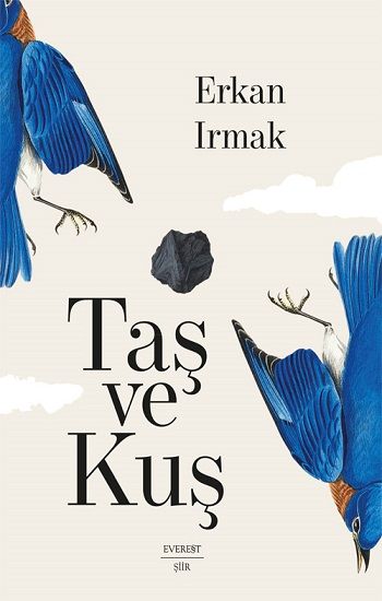 Taş ve Kuş - Everest Yayınları Kitap