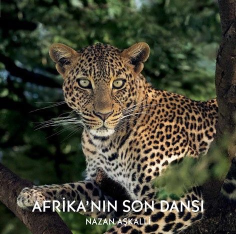 Afrika’nın Son Dansı (Ciltli) - Kara Karga Yayınları Kitap