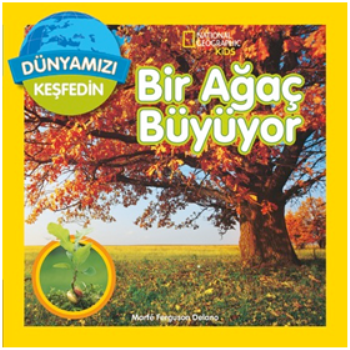 Bir Ağaç Büyüyor - Beta Kids Kitap