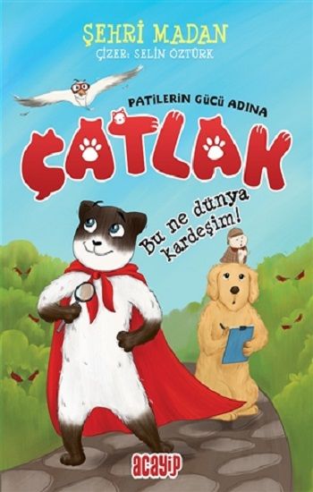 Bu Ne Dünya Kardeşim! - Çatlak - Acayip Kitaplar Kitap