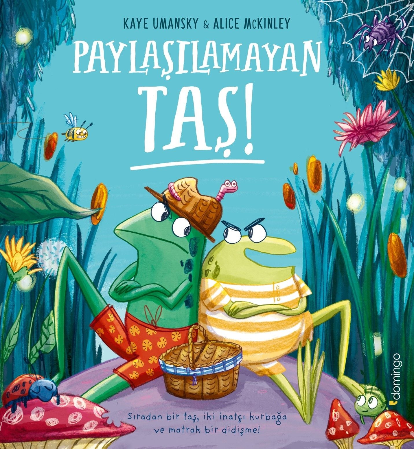 Paylaşılamayan Taş - Domingo Yayınevi Kitap