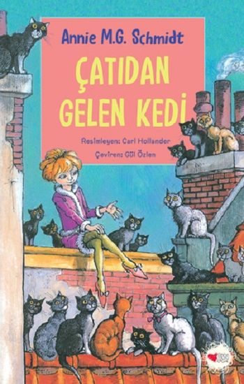 Çatıdan Gelen Kedi - Can Çocuk Yayınları Kitap