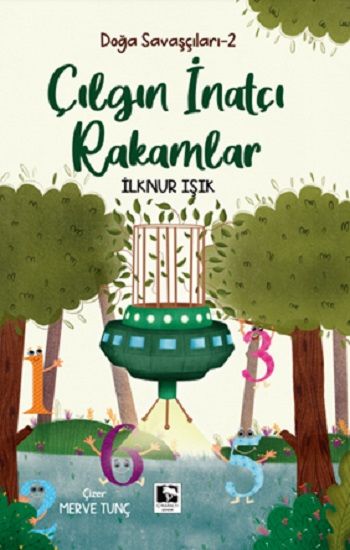 Çılgın ve İnatçı Rakamlar - Çınaraltı Yayınları Kitap