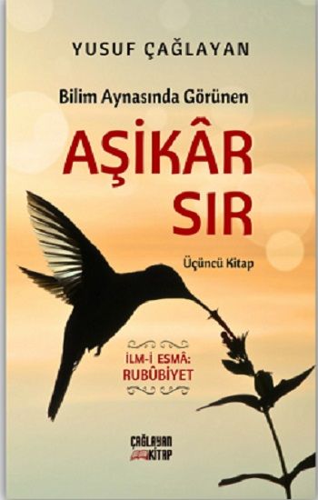 Bilim Aynasında Görünen Aşikar Sır - Çağlayan Kitap Kitap