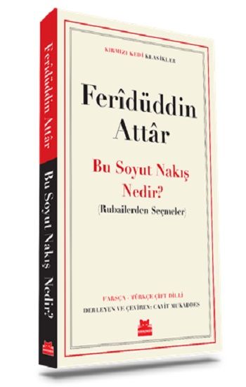Bu Soyut Nakış Nedir ? - Kırmızı Kedi Yayınevi Kitap