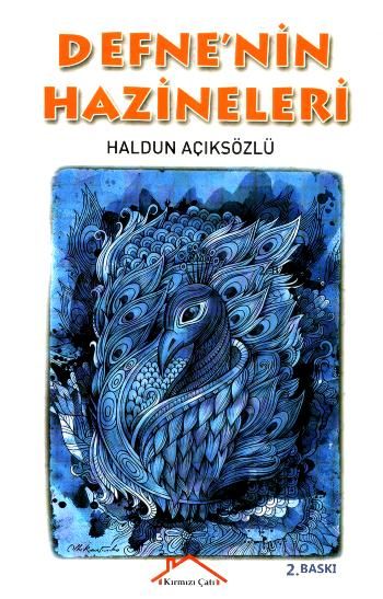 Defne'nin Hazineleri - Kırmızı Çatı Yayınları Kitap