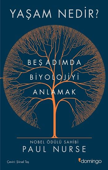 Yaşam Nedir? - Domingo Yayınevi Kitap