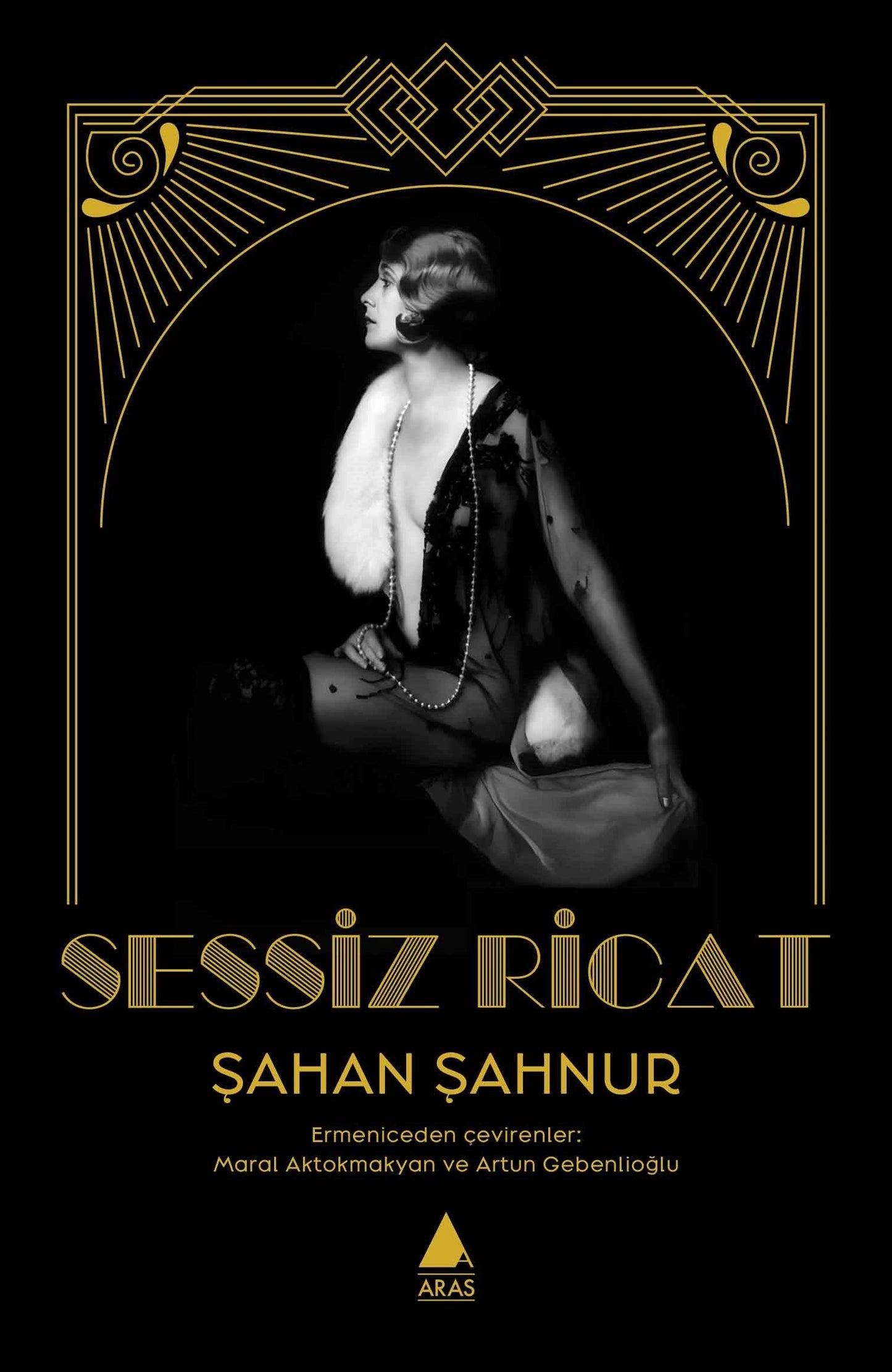 Sessiz Ricat - Aras Yayınları Kitap