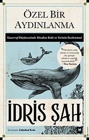 Özel Bir Aydınlanma - Beyaz Baykuş Yayınları Kitap