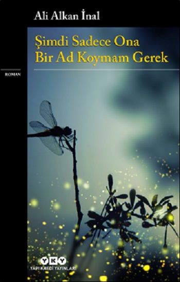 Şimdi Sadece Ona Bir Ad Koymam Gerek - Yapı Kredi Yayınları Kitap