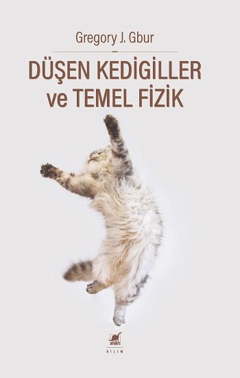 Düşen Kedigiller ve Temel Fizik - Ayrıntı Yayınları Kitap