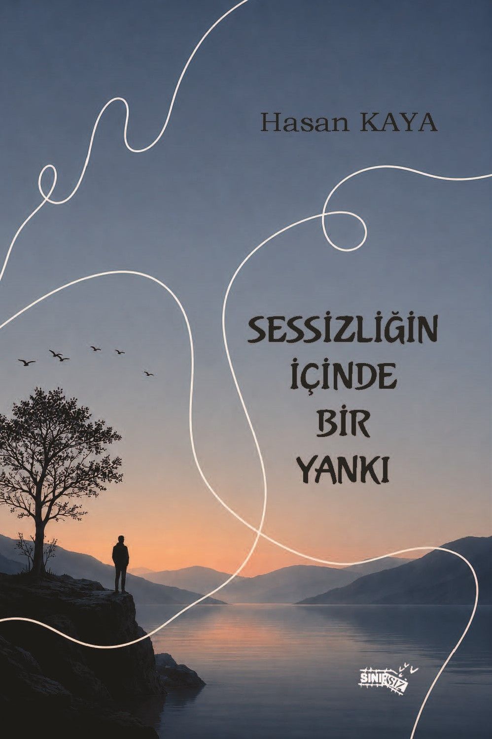 Sessizliğin İçinde Bir Yankı - Sınırsız Kitap Kitap
