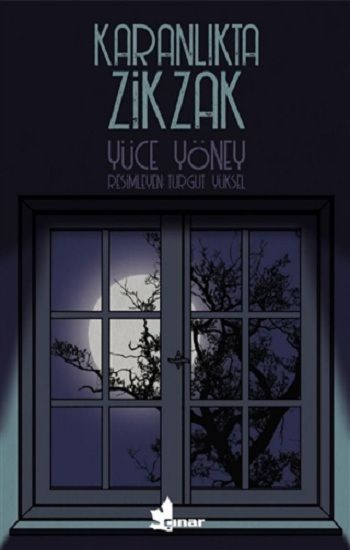 Karanlıkta Zikzak - Çınar Yayınları Kitap