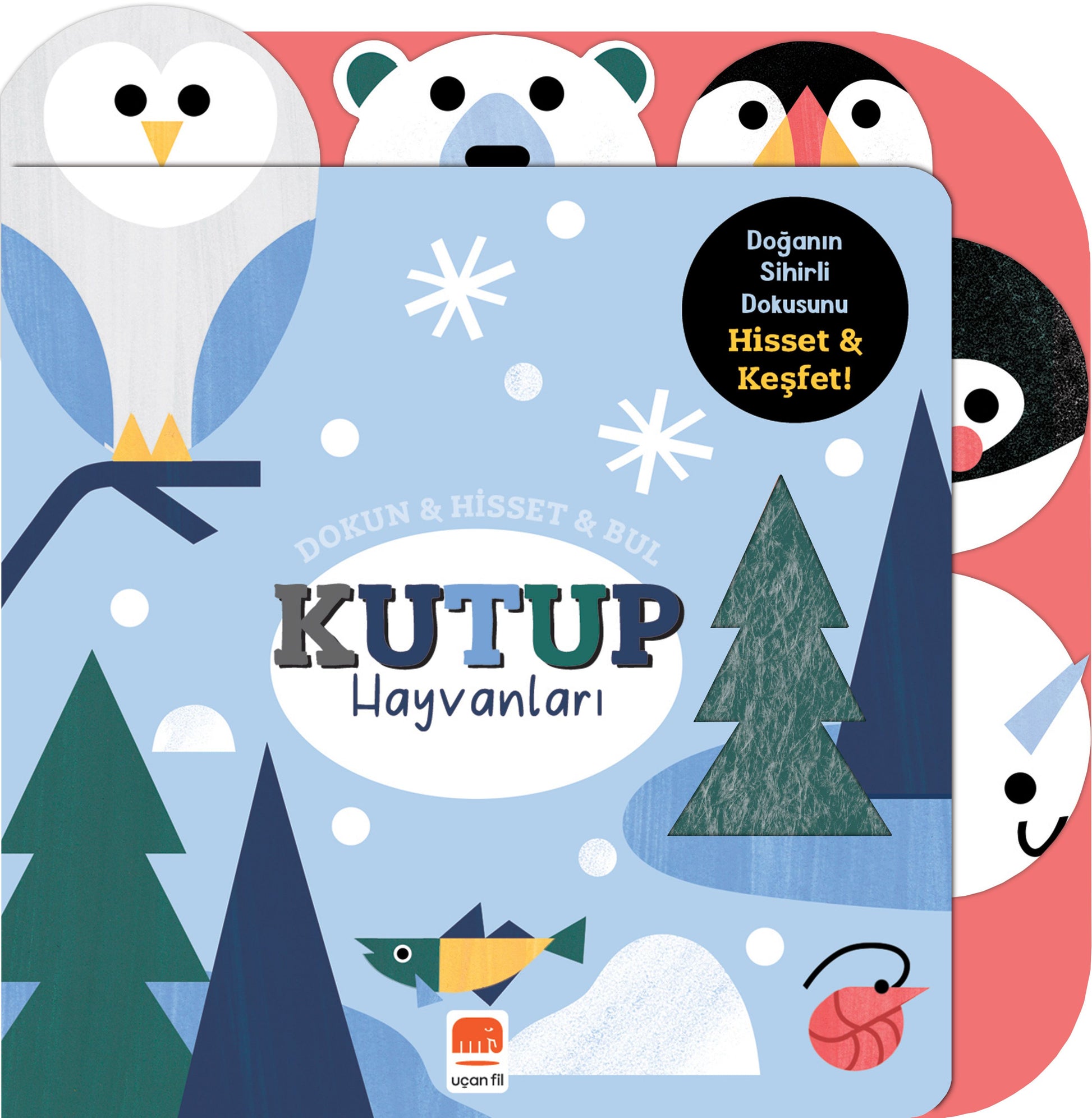 Dokun & Hisset & Bul Kutup Hayvanları  (Boardbook) - Uçan Fil Yayınları Kitap