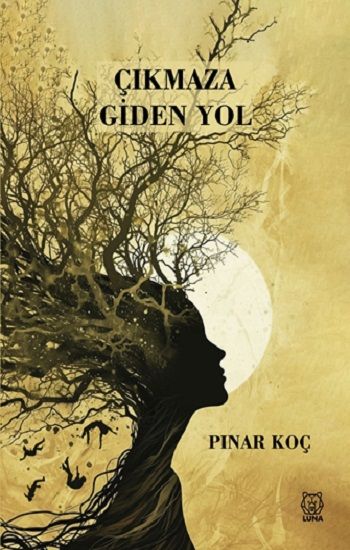 Çıkmaza Giden Yol - Luna Yayınları Kitap