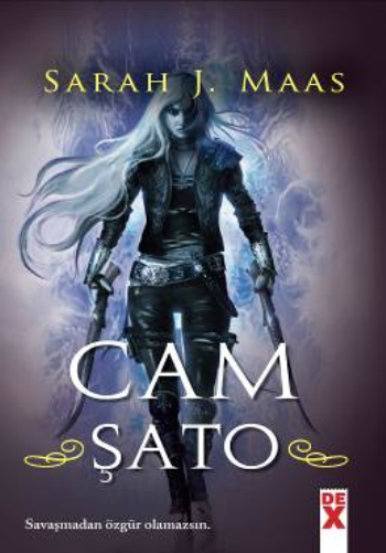 Cam Şato 1 - Dex Yayınevi Kitap
