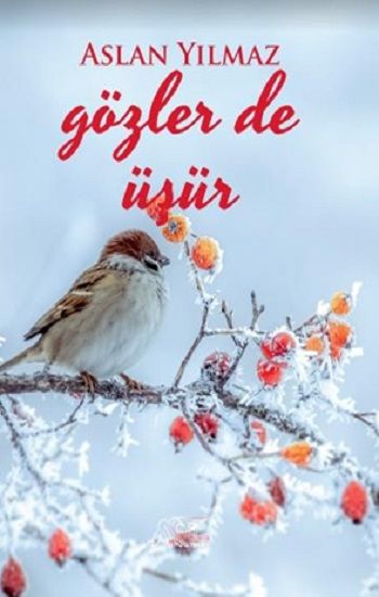 Gözler de Üşür - Kuytu Yayınları Kitap