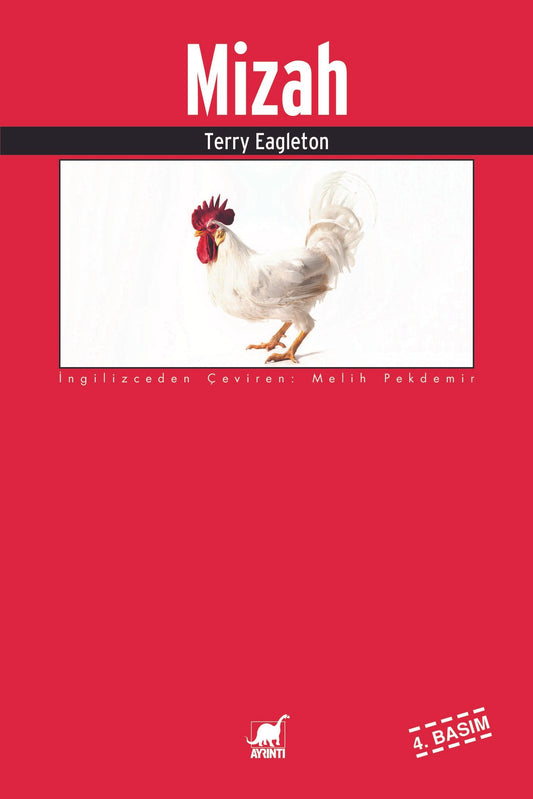 Mizah - Ayrıntı Yayınları Kitap