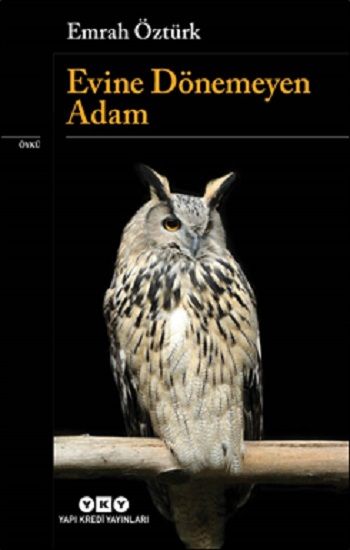Evine Dönemeyen Adam - Yapı Kredi Yayınları Kitap