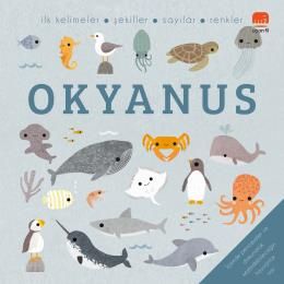 Okyanus - Say Bul Eğlen - Uçan Fil Yayınları Kitap