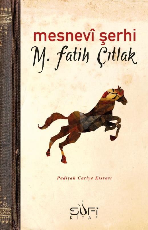 Mesnevi Şerhi M. Fatih Çıtlak Türkçe kitap kapağı