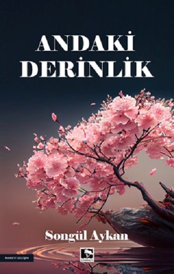 Andaki Derinlik - Çınaraltı Yayınları Kitap