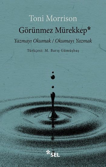 Görünmez Mürekkep - Sel Yayıncılık Kitap