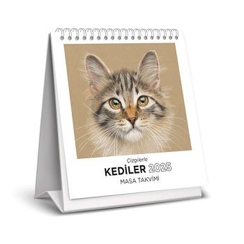 Çizgilerle Kediler 2025 Masa Takvimi - Remzi Kitabevi Kitap