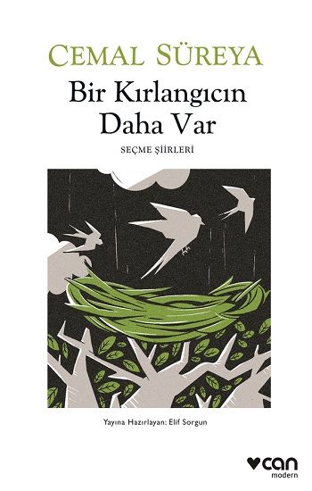 Bir Kırlangıcın Daha Var - Can Yayınları Kitap