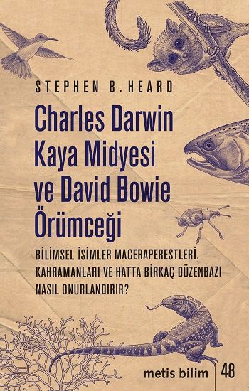 Charles Darwin Kaya Midyesi ve David Bowie Örümceği - Metis Yayınları Kitap