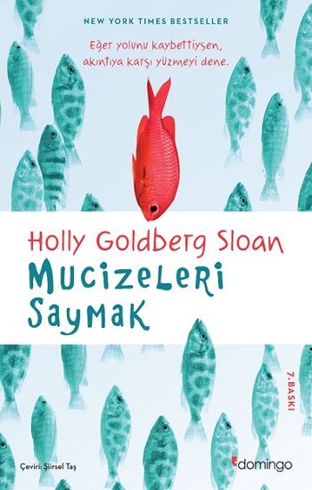 Mucizeleri Saymak - Domingo Yayınevi Kitap