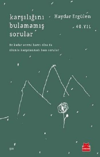 Karşılığını Bulamamış Sorular - Kırmızı Kedi Yayınevi Kitap