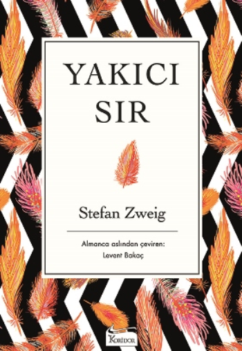 Yakıcı Sır - Koridor Yayıncılık Kitap
