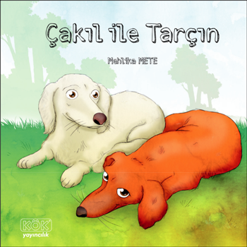 Çakıl İle Tarçın - Kök Yayınevi Kitap