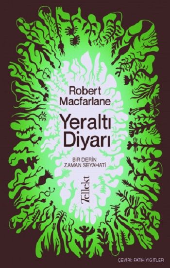 Yeraltı Diyarı: Bir Derin Zaman Seyahati - Tellekt Kitap