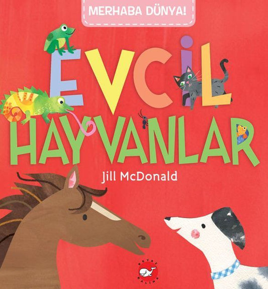 Merhaba Dünya! Evcil  Hayvanlar - Beyaz Balina Yayınları Kitap