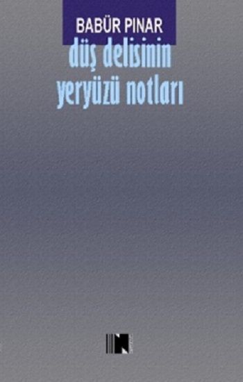 Düş Delisinin Yeryüzü Notları - Nitelik Kitap Kitap