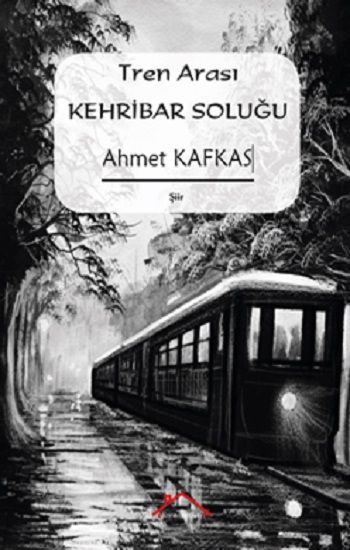 Tren Arası Kehribar Soluğu - Kırmızı Çatı Yayınları Kitap