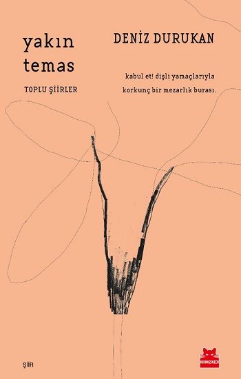 Yakın Temas - Kırmızı Kedi Yayınevi Kitap