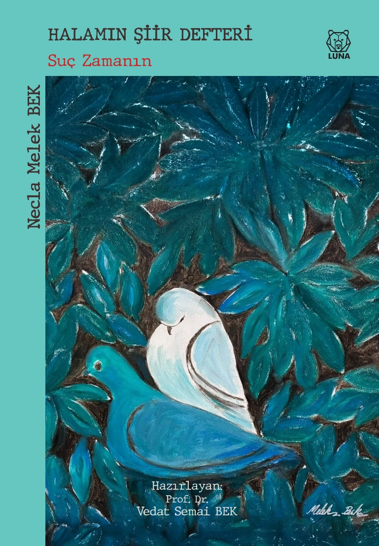 Halamın Şiir Defteri (2) - Luna Yayınları Kitap