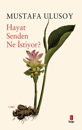 Hayat Senden Ne İstiyor? - Kapı Yayınları Kitap