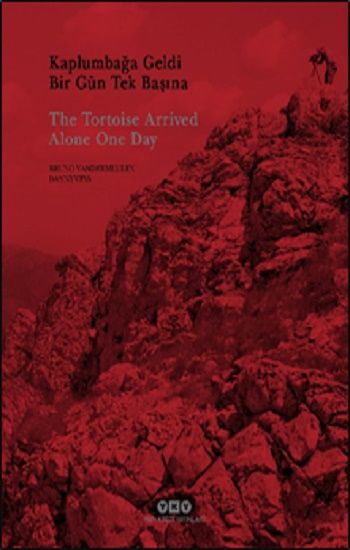 Kaplumbağa Geldi Bir Gün Tek Başına - The Tortoise Arrived Alone One Day - Yapı Kredi Yayınları Kültür Kitap