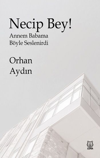 Necip Bey! - Luna Yayınları Kitap