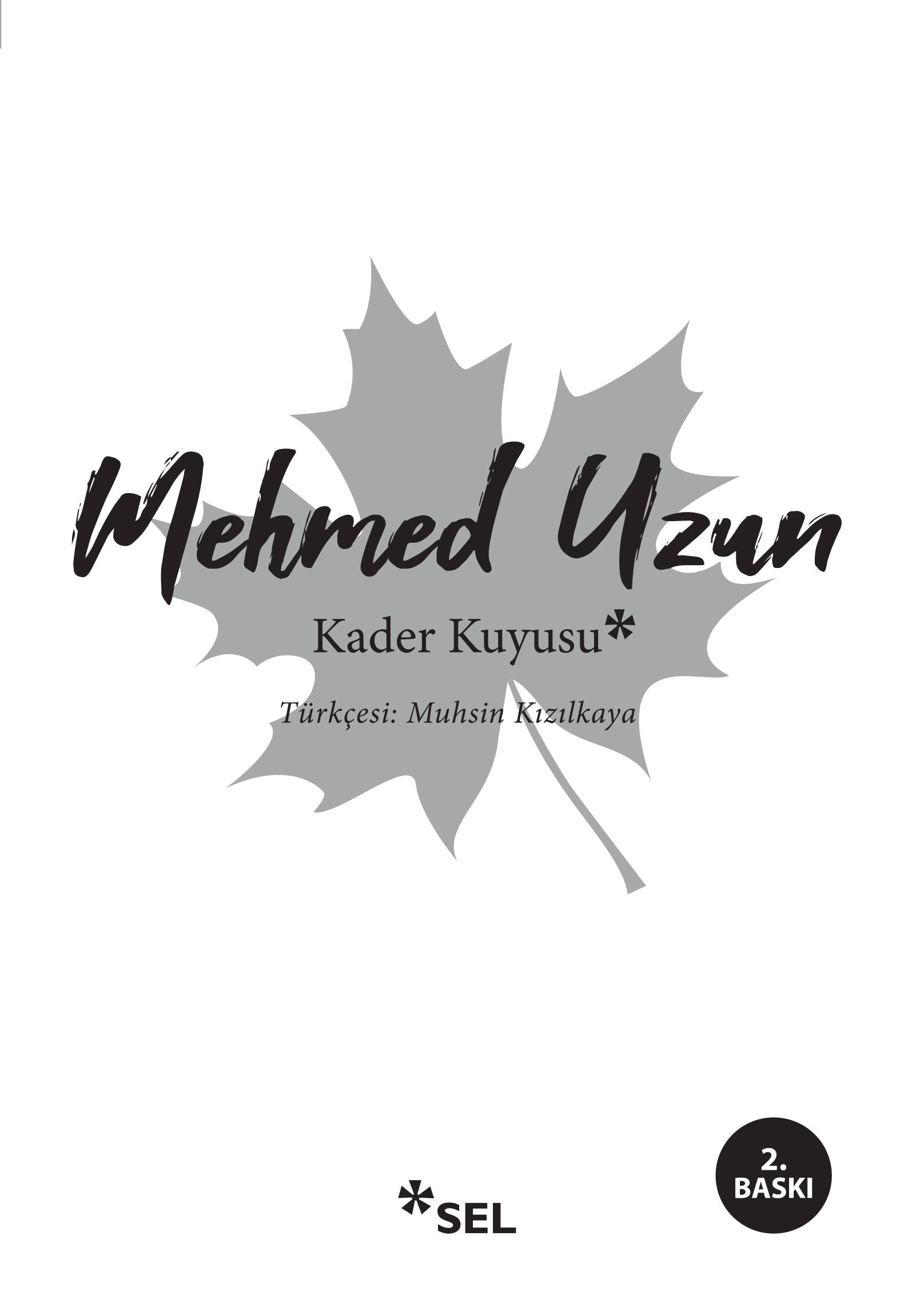 Kader Kuyusu - Sel Yayıncılık Kitap